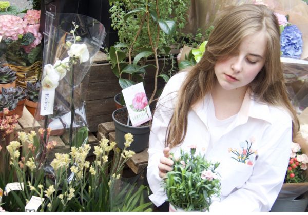 UNADJUSTEDRAW_thumb_7c03