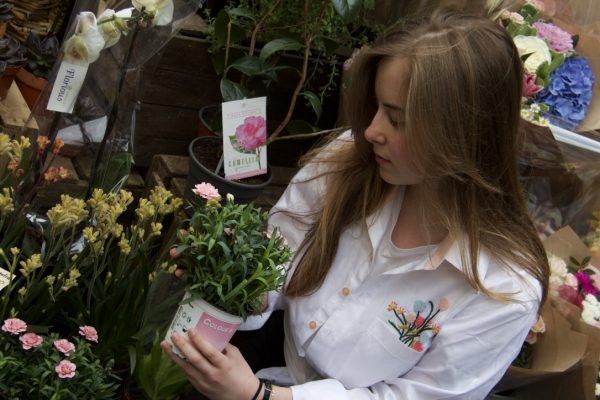 UNADJUSTEDRAW_thumb_7c05