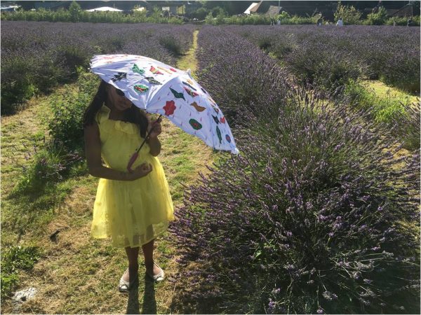 umbrella9