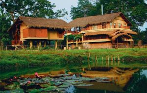 Diphlu-River-Lodge