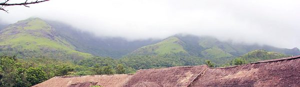 Eco-friendly-hotels