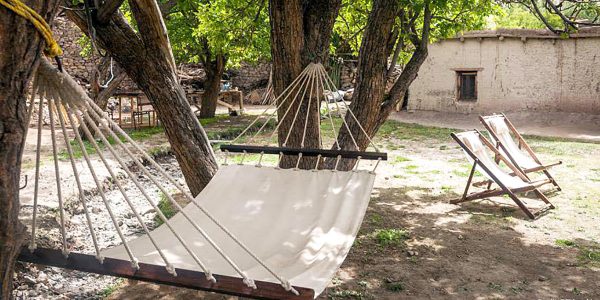 Eco-friendly-hotels-in-India-Nimmu-House-2019