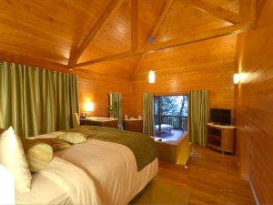Eco-friendly-hotels-in-India-The-Tamara-Coorg