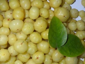 indian-gooseberrys (3)