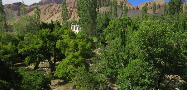 project-galery-3.17265x7591C4