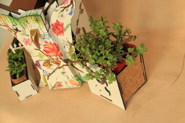 Rain Forest Eco House (2)