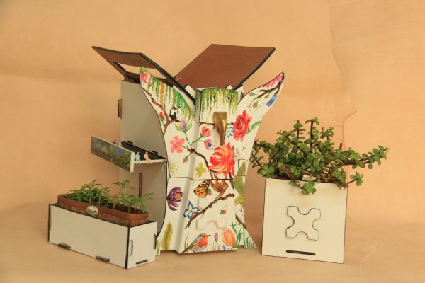 Rain Forest Eco House (5)