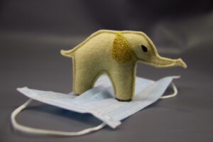 elephant (2)